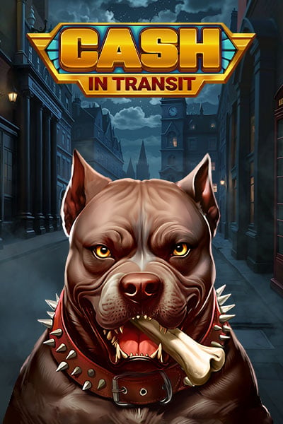 Cash in Transit